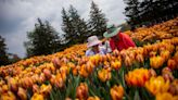 Michigan's best spring destinations, festivals listed in this USA Today guide