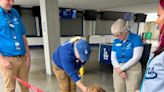 Adoptable ‘Dodger dogs’ get tour of Dodger Stadium