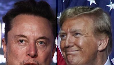 Elon Musk is going to bat for Trump, calling his guilty verdict on 34 counts a 'trivial matter'