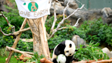 Ocean Park's animal ambassadors empower everyone to reduce plastic use