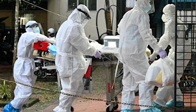 Nipah virus resurfaces in Malappuram, 15-year-old boy in critical condition