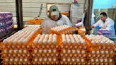 Avian flu is devastating farms in California's 'Egg Basket' as outbreaks roil poultry industry