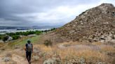 California's oldest tree may be threatened by proposed Riverside County development