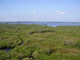 Estero Bay Preserve State Park