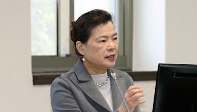 藍委提案電價調整須國會同意，王美花：剝奪審議會專業；撥補挹注、燃料回跌及電價調整，台電虧損縮小至百億 - The News Lens 關鍵評論網