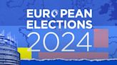 European elections: What do the voters want, what do the candidates promise? Bonus episode