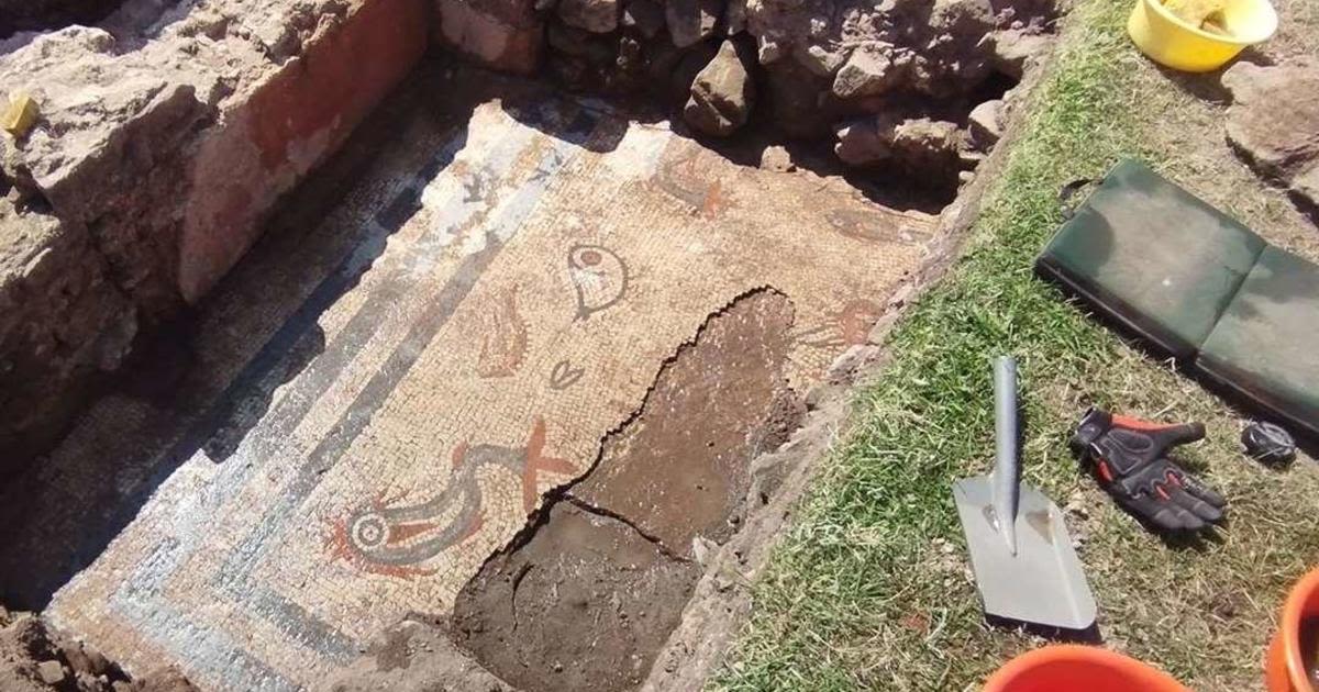 Ancient mosaic depicting fish and dolphins found in buried city in England: "Aquarium frozen in stone"