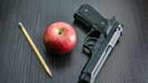 Tennessee House Passes Bill Letting Teachers Carry Guns