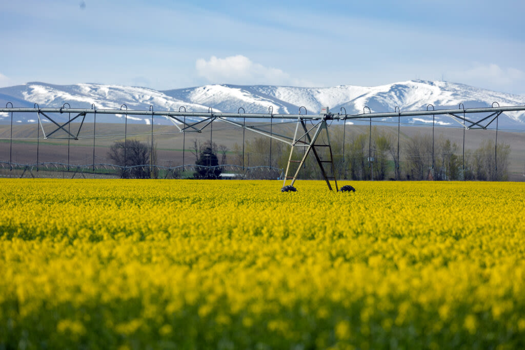 New Oregon water boss targets difficult task of rapidly modernizing outdated laws