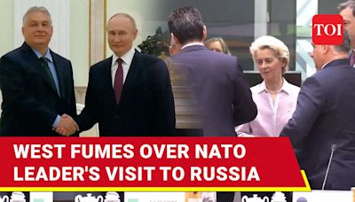 Outcry In West As NATO Leader Embraces Putin; U.S.-Led Military Bloc Cries Foul | TOI Original - Times of India Videos