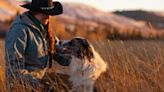 Nominations Open for 2025 Farm Dog of the Year