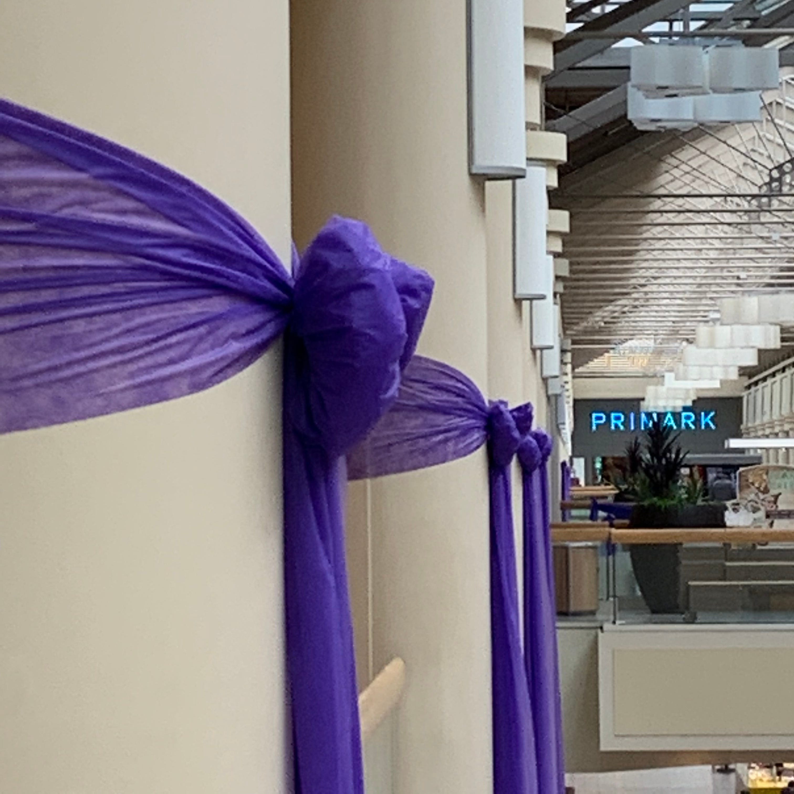 Freehold Raceway Mall going purple with free mental health event