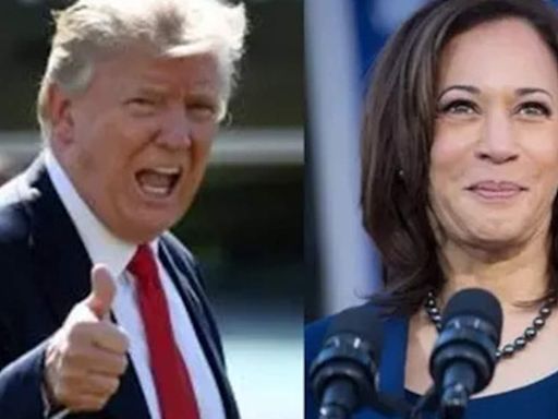 Nate Silver predicts Donald Trump should win US Presidential Election 2024, Kamala Harris may win popular vote. Details here