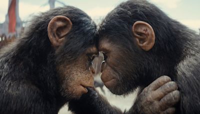 'Kingdom of the Planet of the Apes' actor says character is 'metaphor for evolution'