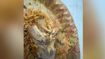 Hyderabad Man Complains Of Bugs In Chicken Biryani Ordered From Mehfil Biryani, Swiggy Responds