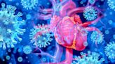 What the research shows about risks of myocarditis from COVID vaccines versus risks of heart damage from COVID – two pediatric cardiologists explain how to parse the data