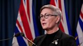 Mary Ellen Turpel-Lafond says a DNA test backs her ancestry claims. CBC asked experts to weigh in | CBC News