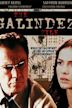 The Galindez File