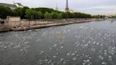 Paris mayor is confident that water quality will allow Olympic swimming in the River Seine