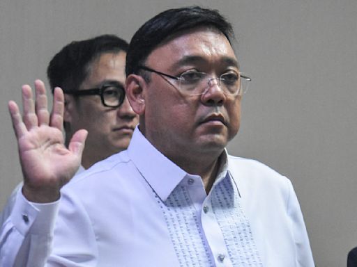 'Only for EJKs, desaparecidos': Roque fails to get protective writ vs House