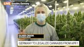 Cannabis: Germany to Partially Legalize Use From April 1