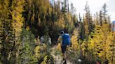 "Amazing cat. Would apocalypse with" – feline host guides hikers on Appalachian Trail