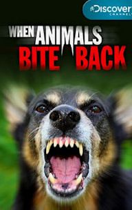 When Animals Bite Back