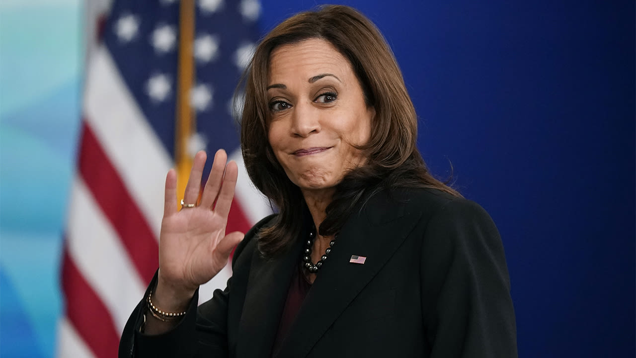 VP Harris faces backlash in crucial swing state after her 'disastrous' anti-fracking position resurfaces