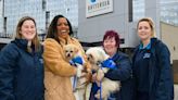 Alison Hammond to succeed Paul O'Grady as host of ITV's For The Love Of Dogs