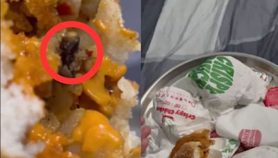 'No One to Trust': Mumbai Woman Finds Dead Insect in Burger King Order, Vents Disappointment Online - News18