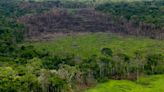 Colombia's Chiribiquete park to receive $1 million annually for at least 30 years