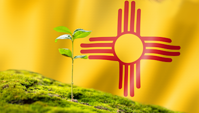 New Mexico’s Environment Department addressed over 1,000 civil enforcement issues last year