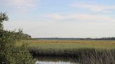 Volusia park among top 5 most sought-after New Year's Day nature walks, website says