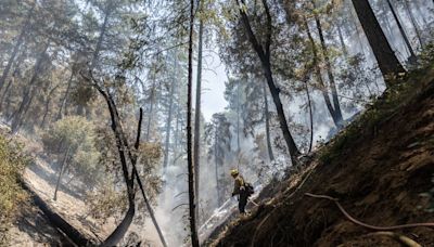 Evacuation orders in El Dorado County after Crozier Fire starts overnight north of Placerville