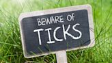 Lyme disease and Tick-Borne Diseases: What should you be doing to stay safe?
