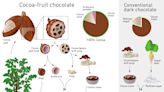 Scientists Reinvent Chocolate With Secret Ingredient – It's Healthier And Less Wasteful