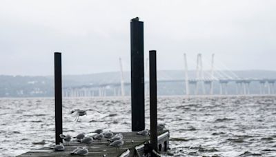 Debby storm remnants brought high winds to NY airports Friday