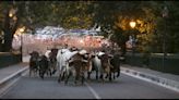 Vídeo: el encierro de los Sanfermines