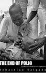 The End of Polio: A Global Effort to End a Disease