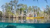 Explore the Waterways of Crystal River, Florida