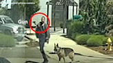 Authorities release footage of police shooting man after report of gun, ‘aggressive German shepherd’