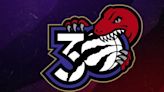Raptors unveil new logo as part of a series of events to celebrate 30th anniversary