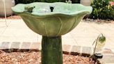 Nature’s Serenade: My Experience With the Smart Solar Bird Bath Fountain