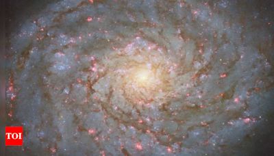 NASA unveils gorgeous spiral galaxy named after an Egyptian queen; netizens awestruck | - Times of India
