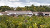 Dehesa de los Canónigos, una bodega bendecida por la naturaleza