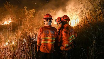 Pantanal: fazendas investigadas por início dos focos de incêndio são periciadas, afirma presidente do Ibama