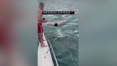 NZ Man Jumps on Orcas for a Laugh, Gets a $600 Fine