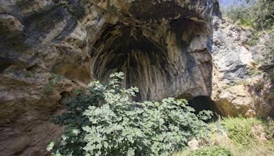 Tina, la niña neandertal con síndrome de Down que sobrevivió en Xàtiva