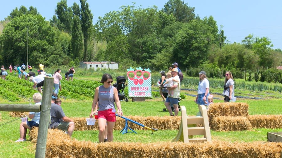 2nd Annual Strawberry Jam Festival raises money for wounded veterans