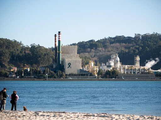 El Constitucional avala la prórroga hasta 2073 de la actividad de la biofábrica de Ence en Pontevedra